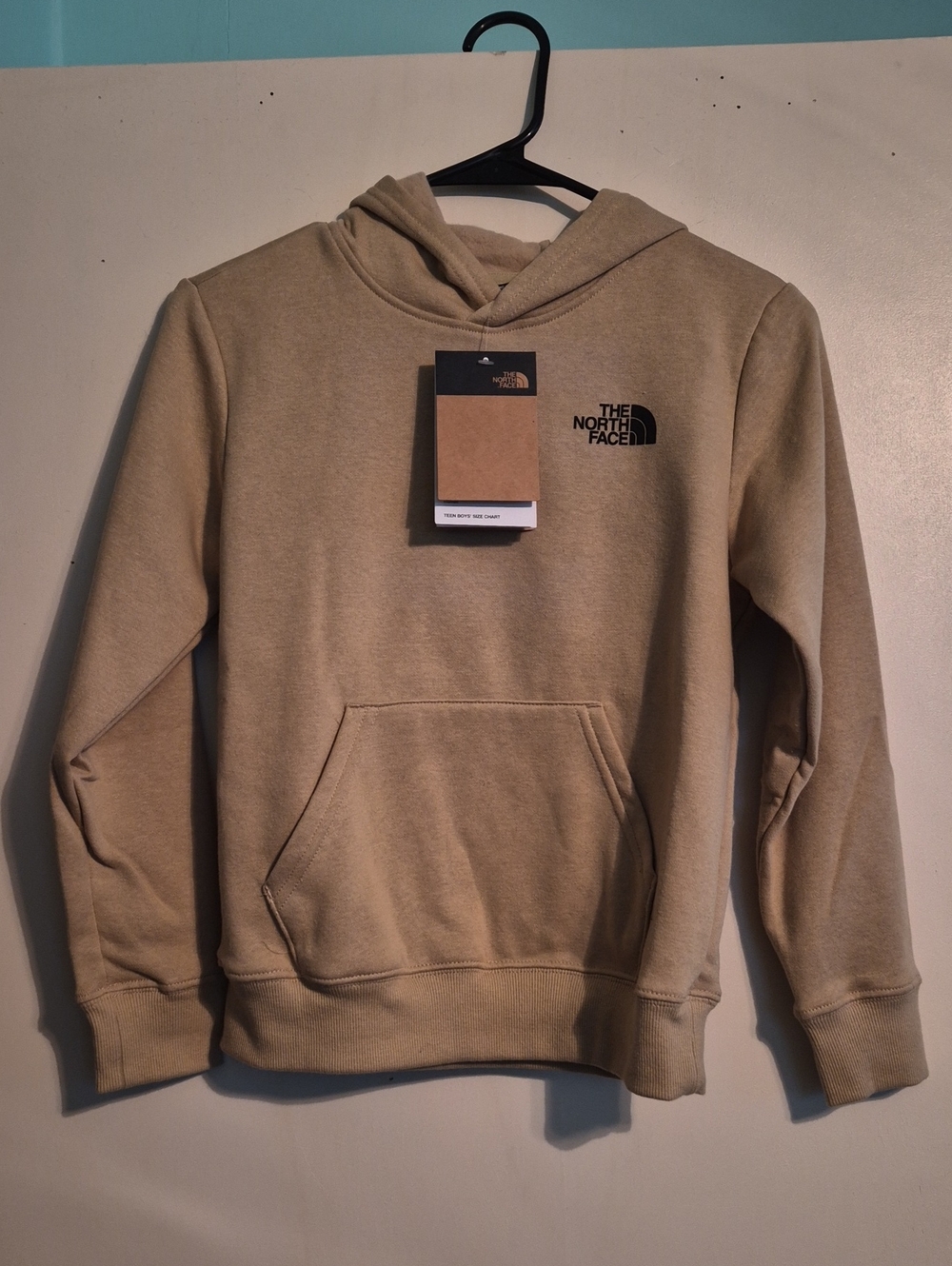 The North Face Teen Boy's Hoodie in Tan with Black Logo